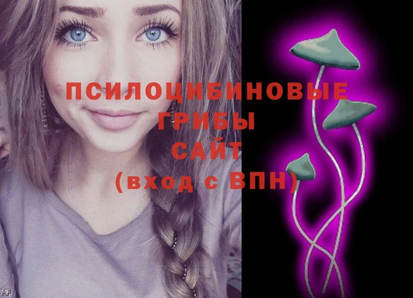 спайс Баксан